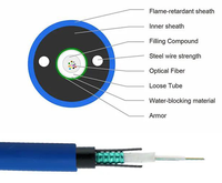 Kabel Serat Optik Komunikasi Berlapis Baja MGTSV untuk Tambang Batubara, Disetujui untuk FTTH, 12 Core, 24 Core, 48 Core