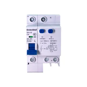 Wachtwell Merk GB1L-63-1P + N 230V 6ka Rccb Resterende Stroomonderbreker Voor Elektriciteit