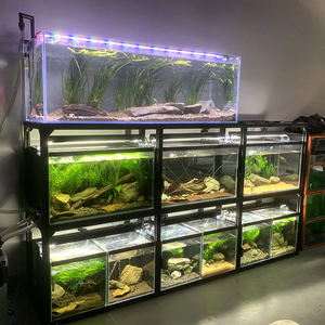 Fournitures nouvel arrivage, <span class=keywords><strong>grand</strong></span> <span class=keywords><strong>Terrarium</strong></span> carré en verre Transparent, Cage à reptiles, réservoirs de tortues <span class=keywords><strong>pour</strong></span> animaux de compagnie - Product Image 2