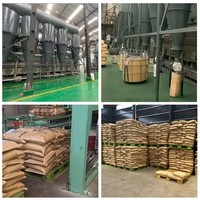 CAS 9003-05-8 Poliacrilamida Aniónica PAM Coagulante para Aditivos de Petróleo en la Clasificación de Minerales en Minería y Residuos