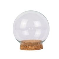 Fleur éternelle, dôme en verre avec bouchon en liège, figurine en liège, boîte mystère, boule de micro-paysage en argile polymère, protection anti-poussière, vente en gros, géométrique