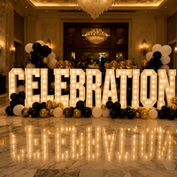 Lettres lumineuses LED personnalisées Mr & Mrs, enseigne à ampoules pour mariage, fête, banquet, événement, décoration de fond photo intérieur
