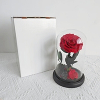 Echte Rose mit LED-Licht konservierten Rosen in Glas Ewige Blumen kuppel für Mädchen Frau Rot Valentinstag Geschenk Ainy Rose