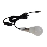 Petite ampoule USB à rayures avec connecteur DC 12V basse tension pour marché nocturne, alimentation mobile et petit système solaire