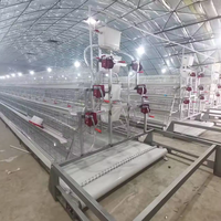 Cage à poules pondeuses de type A, cage en batterie galvanisée à chaud avec abreuvement automatique et nettoyage automatique du fumier pour élevage avicole