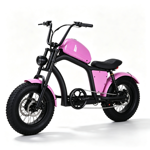 Vélo à pneus larges de haute qualité au design tendance, idéal pour les activités cyclistes en extérieur au bord du lac, modèle ABC-100, batterie au lithium longue durée - Product Image 2