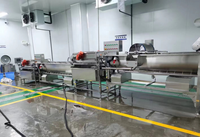 Déshydrateur Intelligent de légumes, fruits de mer et de viande, avec contrôle Servo, Machine de traitement des aliments,