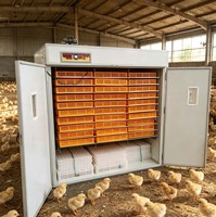 5000 œufs ventes directes d'usine d'incubateur entièrement automatique