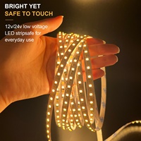 Bande LED SMD 2835 192 LED/m PCB 8mm Double Couleur 24V 25/50 Plaque Électroplaquée Vente en Gros Stock pour Salon