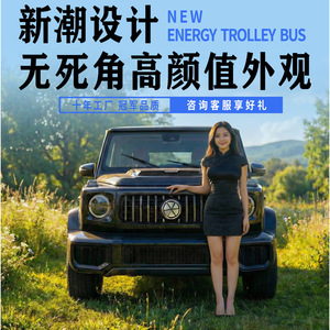 <b>Electric</b> <b>UTV</b> Fully Enclosed Dual Use <b>Electric</b> And Gasoline Four Wheeled <b>Vehicle</b> 700kg 110-280km Range Family Mobility - Product Image 3