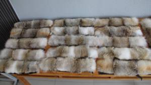 100% tela de felpa de poliéster Super suave estilo burbuja ecológico transpirable falso collares de piel de Coyote - Product Image 4