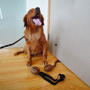 Giocattolo Interattivo per Animali Domestici in Gomma TPR, Design Bionico Multifunzionale per la Pulizia dei Denti Molari, Vendita Diretta dalla Fabbrica - Product Image 6