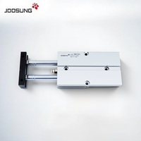 Cylindre pneumatique compact à double tige TN25x40, actionneur pneumatique de précision