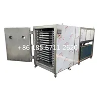 Industrial Food Vacuum Freeze Dryer Machine