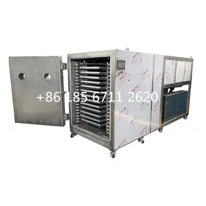 Commercial industrial lyophilize australia food vacuum freeze dryer machine