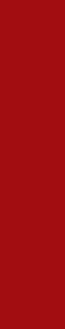 Panel de Pared Interior SPC Rojo Moderno de 600X2440 mm, Tablero Decorativo de PVC Ecológico, Impermeable y Resistente al Fuego para el Hogar - Product Image 2