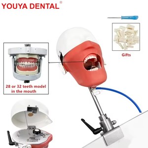 <strong>Dental</strong> Training Phantom Head Model <strong>Dental</strong> <strong>Simulator</strong> Manikin With Teeth for Teaching Practice Studying Dentistry Equipment <strong>Unit</strong> - Product Image 2