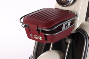 Продает рефрижератор электрический велосипед 2 Elecartc trermotos 500W, 650W, 800W 48V 2 сиденья Carguero открытый пассажир 7-9h 351 - 500w - Product Image 5