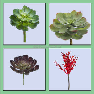 Planta de cactus grande para exteriores, mini suculentas artificiales de tacto real, sedum eceveria, púas en maceta, sin maceta, pequeñas para Decoración - Product Image 6