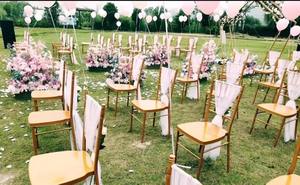Modern Design Stackable Metal Dining <strong>Chairs</strong> for Restaurant Hotel Party Wedding for Outdoor Apartment Use Wholesale Luxury <strong>Chairs</strong> - Product Image 3