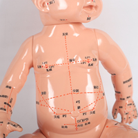 Modèle d'entraînement au massage pédiatrique, simulation anatomique, points d'acupuncture complets et applications multifonctionnelles