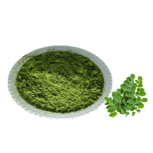 Extrait de feuille de Moringa personnalisable OEM, superaliment en poudre à base de plantes, conditionné en bouteille, fût ou récipient en verre - Product Image 3
