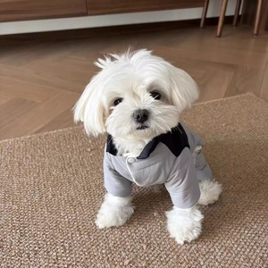 מעיל חורף לכלבים קטנים רב מכר, חם, עם 4 רגליים וו לרתום, בגד גוף רב צבעים להליכה בסתיו ובחורף - Product Image 6