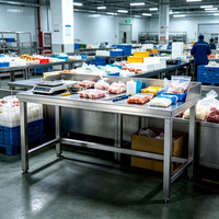 Mesa de Trabajo de Acero Inoxidable 304 de Grado Alimenticio para Procesamiento de Alimentos, Mesa de Trabajo Personalizada para Cocina Central y Fábrica de Alimentos