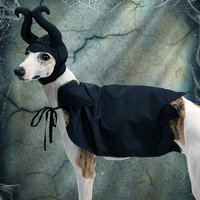 Costume de chien d'Halloween de luxe accessoire de vêtements pour animaux de compagnie de sorcière de fée sombre