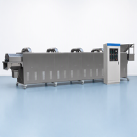 Machine de production de snacks frits extrudés 400 kg/h, ligne de production de frites Bugles, de granulés 2D 3D et de produits semi-finis pour la friture alimentaire