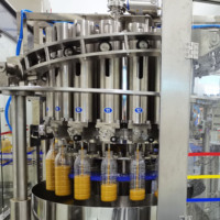 Automatische Mangopulp Productielijn Maken Machine Van Mango Puree Ce Vruchtensap Concentraat Machine
