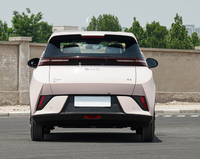 Voiture électrique BYD Seagull EV neuve, voiture électrique BYD, véhicules à énergie nouvelle