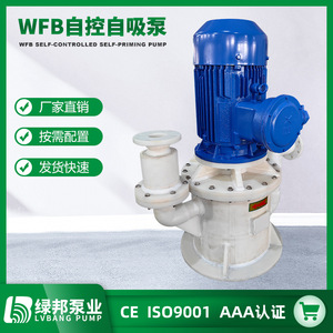 Bombas Autocebantes Verticales de Acero Inoxidable WFB Suministradas por el Fabricante, Bomba de Aguas Residuales sin Sello de Alta Capacidad de Succión - Product Image 5