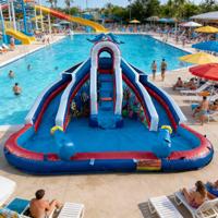 Toboggan aquatique gonflable à trois voies sur le thème des dauphins, en PVC, respectueux de l'environnement, pour enfants, aventure aquatique commerciale