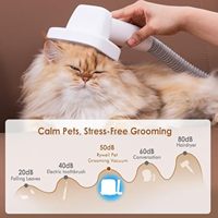 Tondeuse à poils pour animaux de compagnie 2024 avec aspiration, faible bruit, kit de toilettage pour chiens et chats avec 5 outils de toilettage