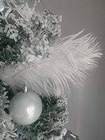 Petites plumes d'autruche sélectionnées de qualité 10-12 pouces pour costumes de danse et décorations de carnaval