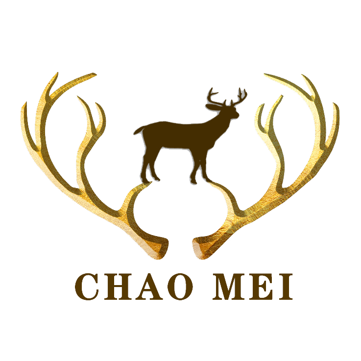 Dongguan Chaomei Clothes Limited Company logo