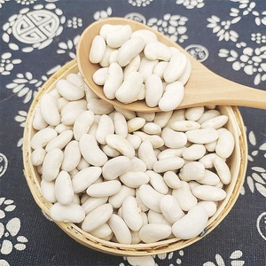 Meilleure vente en chine de haricots de pois blancs naturels gros haricots blancs au prix le plus bas - Product Image 4