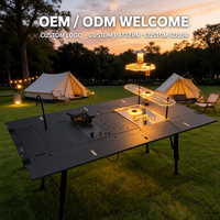 Table de camping pliable en alliage d'aluminium avec lumière, table d'extérieur portable et pliable pour la randonnée, le pique-nique, le barbecue
