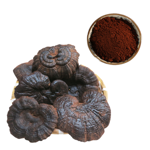 reishimushroomextractprice