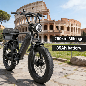 YANGOR Y20 PM Bicicletta <span class=keywords><strong>Elettrica</strong></span> con Pneumatici Larghi da 20 Pollici per Neve, Spiaggia e Fuoristrada, E-bike Potente per Adulti e Città - Product Image 1