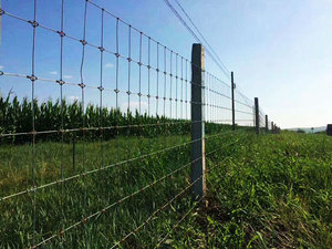 Gia Súc Hàng Rào Chăn Nuôi Lưới Hàng Rào, Trellis & Gates Sắt Kim Loại Mạ Kẽm Nhúng Nóng Xử Lý Áp Lực Loại Gỗ Xử Lý - Product Image 6