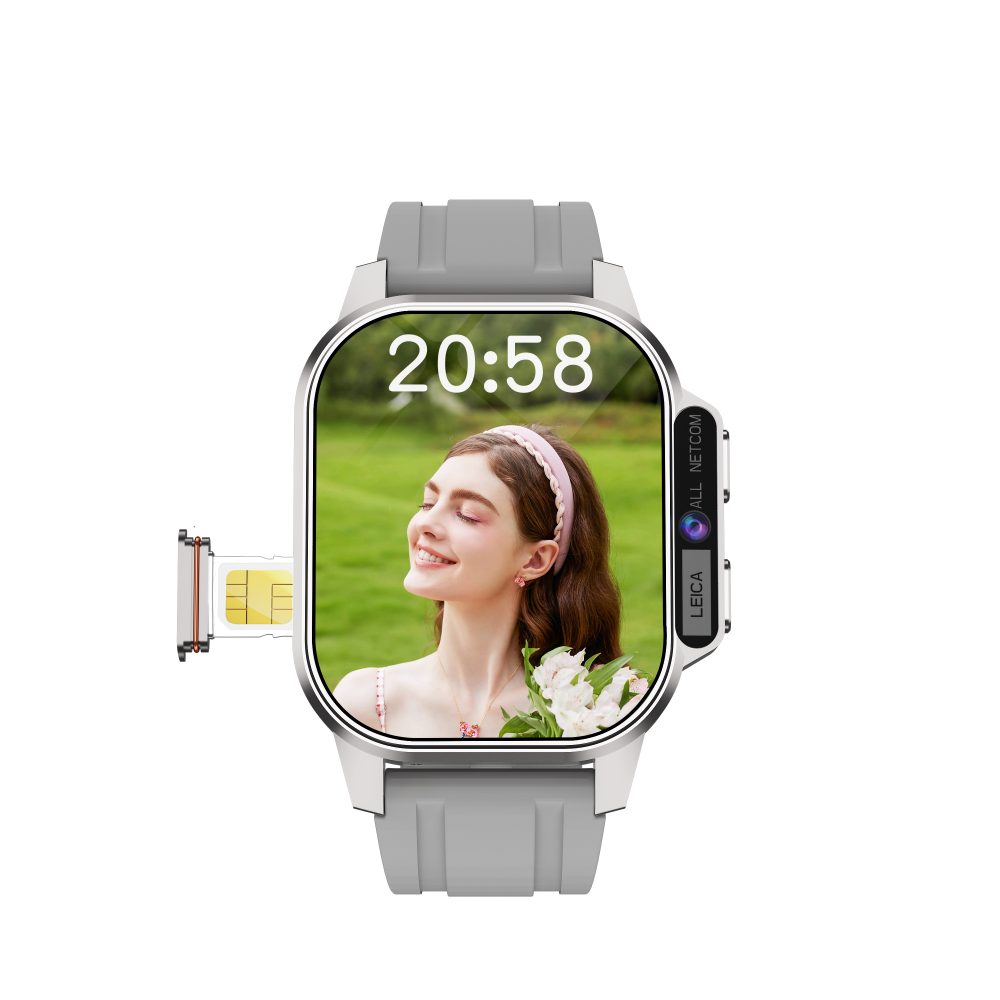 Gris (pour le marché des Etats-Unis)