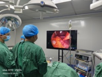 Système vidéo d'endoscopie chirurgicale électrique 4K IKEDA 9210, tour d'endoscopie avec moniteur 32/55 pouces, stockage USB pour interventions ORL, certifié CE