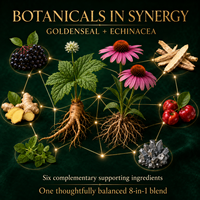Gotas Botánicas Inmunitarias 8 en 1 al por Mayor, Complejo de Echinacea y Goldenseal con Hoja de Orégano para el Bienestar Corporal Total, OEM ODM