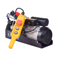110v 220V pa600 30M câble métallique pa mini micro petit palan électrique