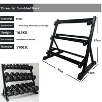 Support de Rangement Commercial Incliné à Trois Niveaux en Acier Épaissi pour Haltères Hexagonaux et Poids Libres – Équipement de Fitness à Domicile