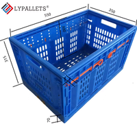 Caisses de stockage et de logistique pour fruits et légumes LYPALLETS, caisses à légumes de qualité alimentaire, caisses en plastique pliables/paniers