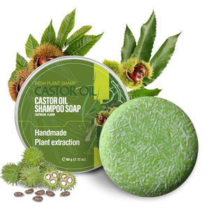 Savon-shampooing 2-en-1 au gingembre Polygonum Multiflorum, biologique, végétalien, antipelliculaire, lissant, nourrissant, sans sulfate, hydratant - Product Image 2