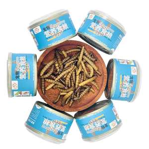 หนอนข้าวบาร์เลย์อบแห้ง: อาหารทดแทนที่สะอาดและปลอดภัยสำหรับสัตว์ - Product Image 1